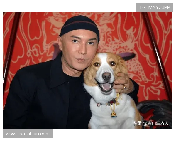 尊龙网站的魅力:探索在线娱乐平台的无尽可能性 尊龙网站的魅力:探索在线娱乐平台的无尽可能性