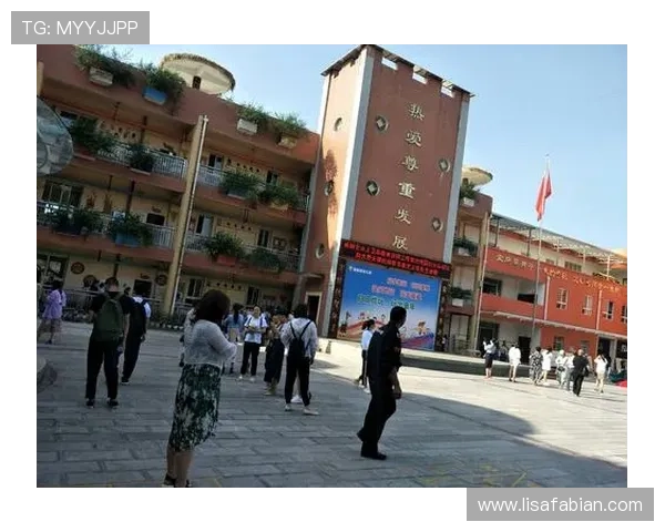 Z6人生就是博：从游戏中汲取人生哲理实现自我价值