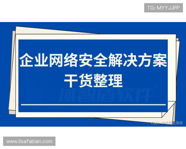 凯时旗舰网站的安全防护措施详解,保障玩家个人信息与资金安全 凯时旗舰网站的安全防护措施详解,保障玩家个人信息与资金安全