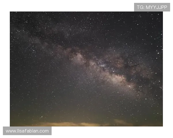 尊龙手机版app功能介绍与使用技巧，助你轻松掌握游戏操作要领