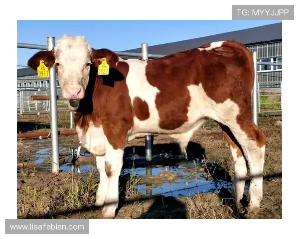 揭秘尊龙凯时首页app中的热门游戏,带你玩转各种刺激好玩的项目 揭秘尊龙凯时首页app中的热门游戏,带你玩转各种刺激好玩的项目