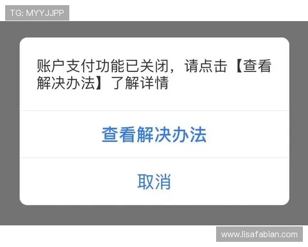 918博天堂支付方式介绍多样化支付渠道保障玩家充值提现的便捷与安全