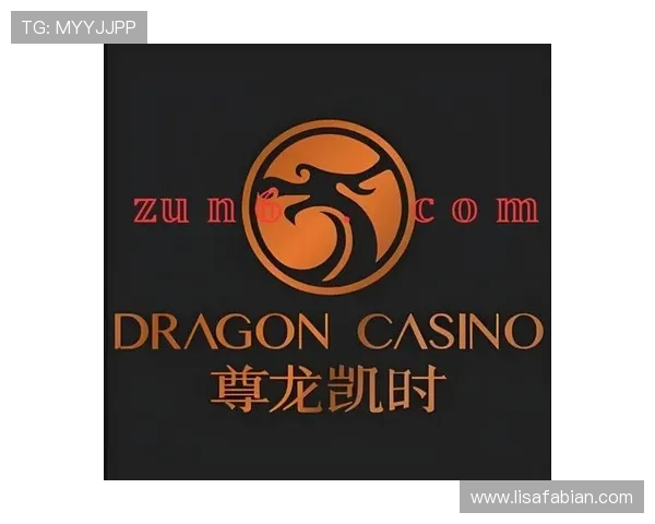 尊龙凯时官方下载入口提供的安全登录通道详细介绍及使用指南